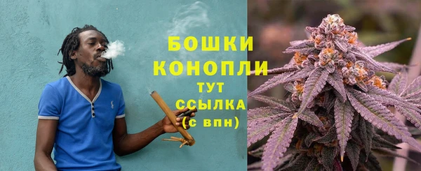 дмт Богородск