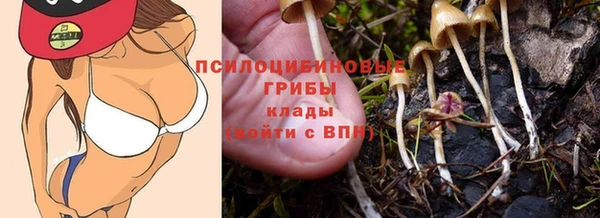 герыч Дубовка