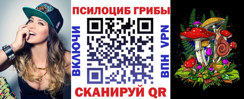 Псилоцибиновые грибы Psilocybine cubensis  Лыткарино 